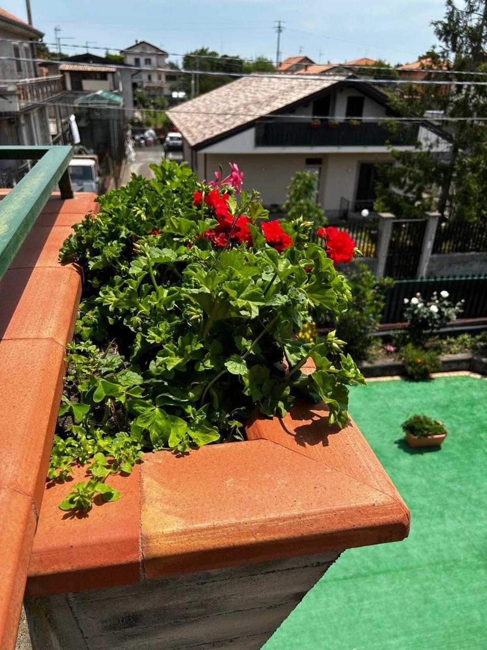 Grotta Del Monaco Bed & Breakfast Pedara Exterior photo